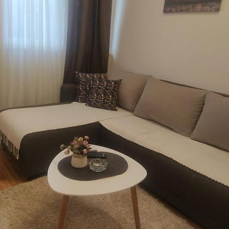 شقة Talija Apartman Vrnjačka Banja المظهر الخارجي الصورة